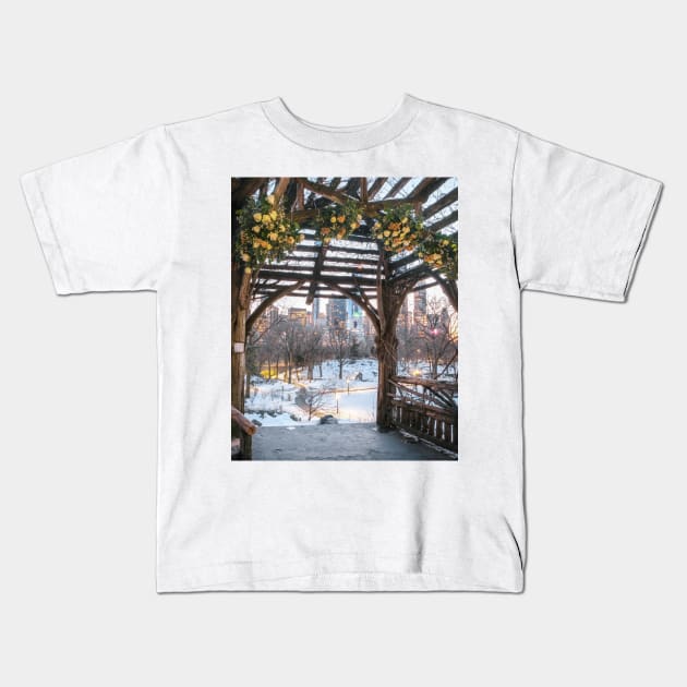 Central Park Winter Kids T-Shirt by igjustin